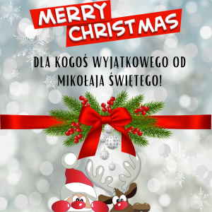 Etykieta świąteczna 20x20cm - Merry Christmas