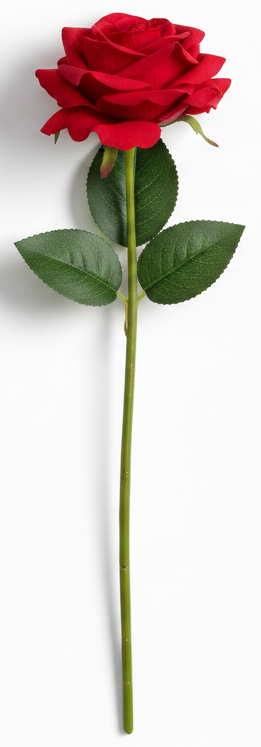 e547b22461e7ca7e1c33062bbb0c77a6.png