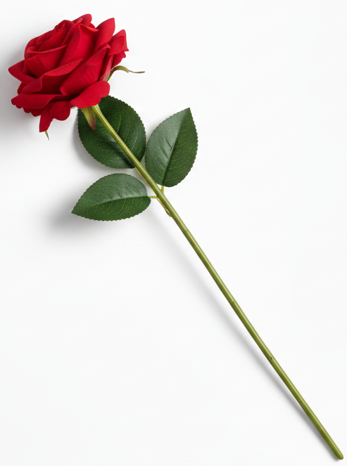 845d8e1364f106a3112445fadbcb98bf.png